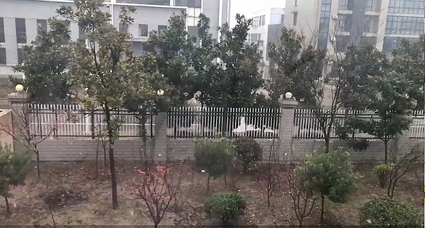 雪景 2020下雪啦 扬子江空调集团有限公司