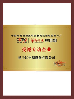 中央电视台受邀专访企业